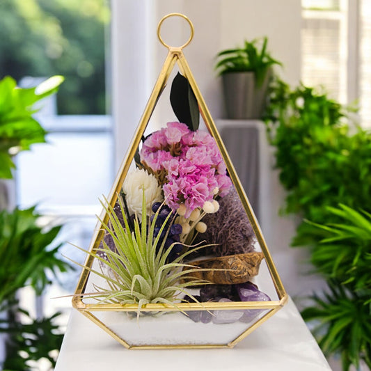 Terrarium Victorien Petit avec une plante aérienne - violet