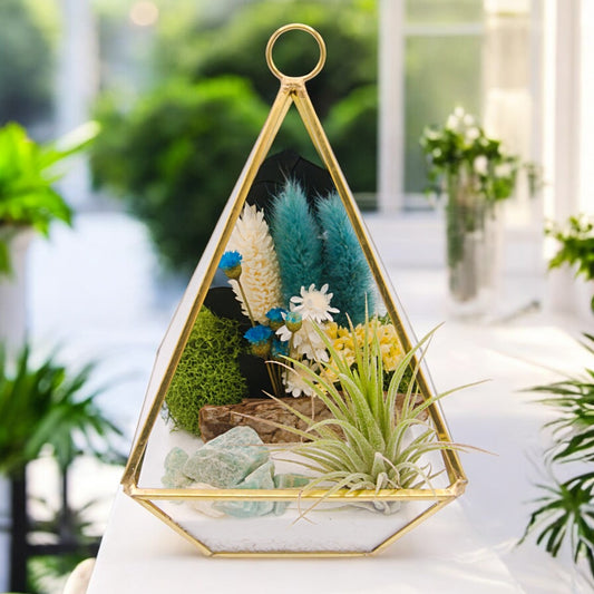 Terrarium Victorien Petit avec une plante aérienne - vert