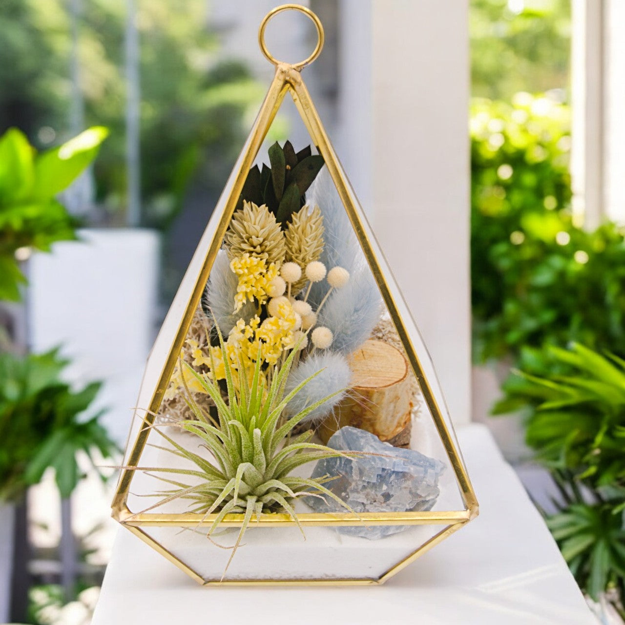 Victorian Airplant Terrarium Small - Blue