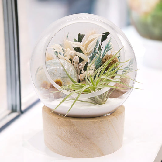 Bubble Terrarium with base - Ocean Jasper stone