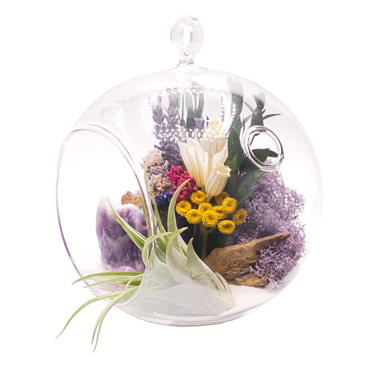 Glass bubble airplant terrarium with dried flowers and amethyst crystals