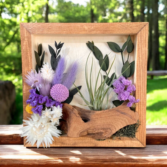 Jardins Muraux de plantes aériennes - Carré Fleurs Violettes 