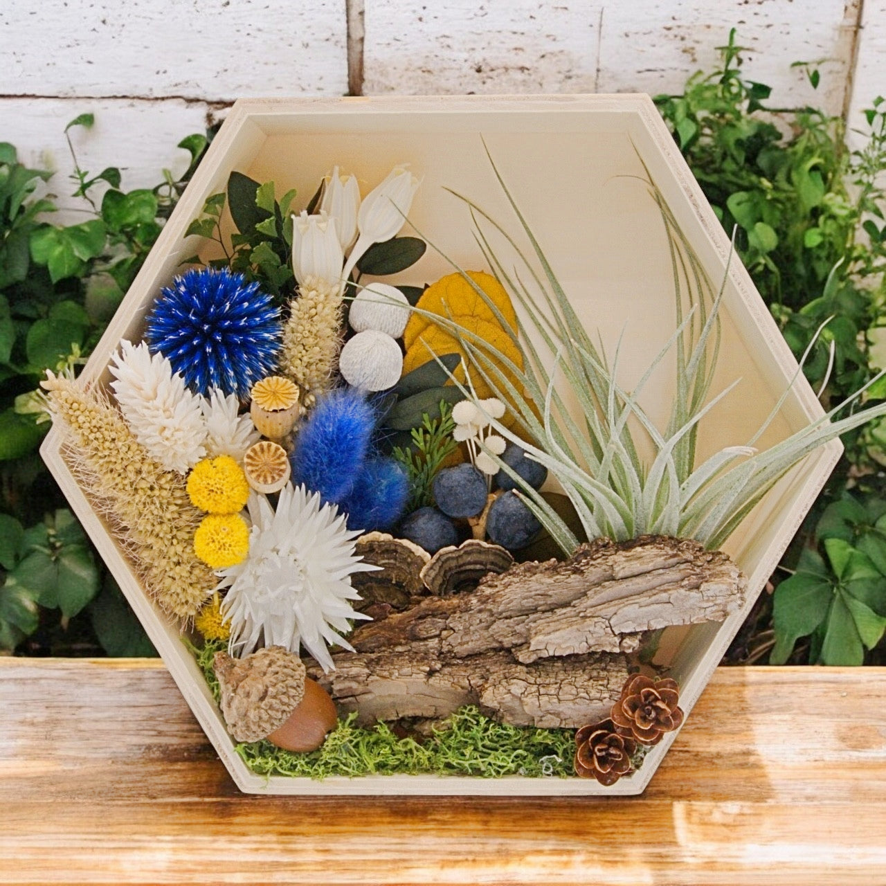 Airplant Art Frames - Hexagon Blue Flowers