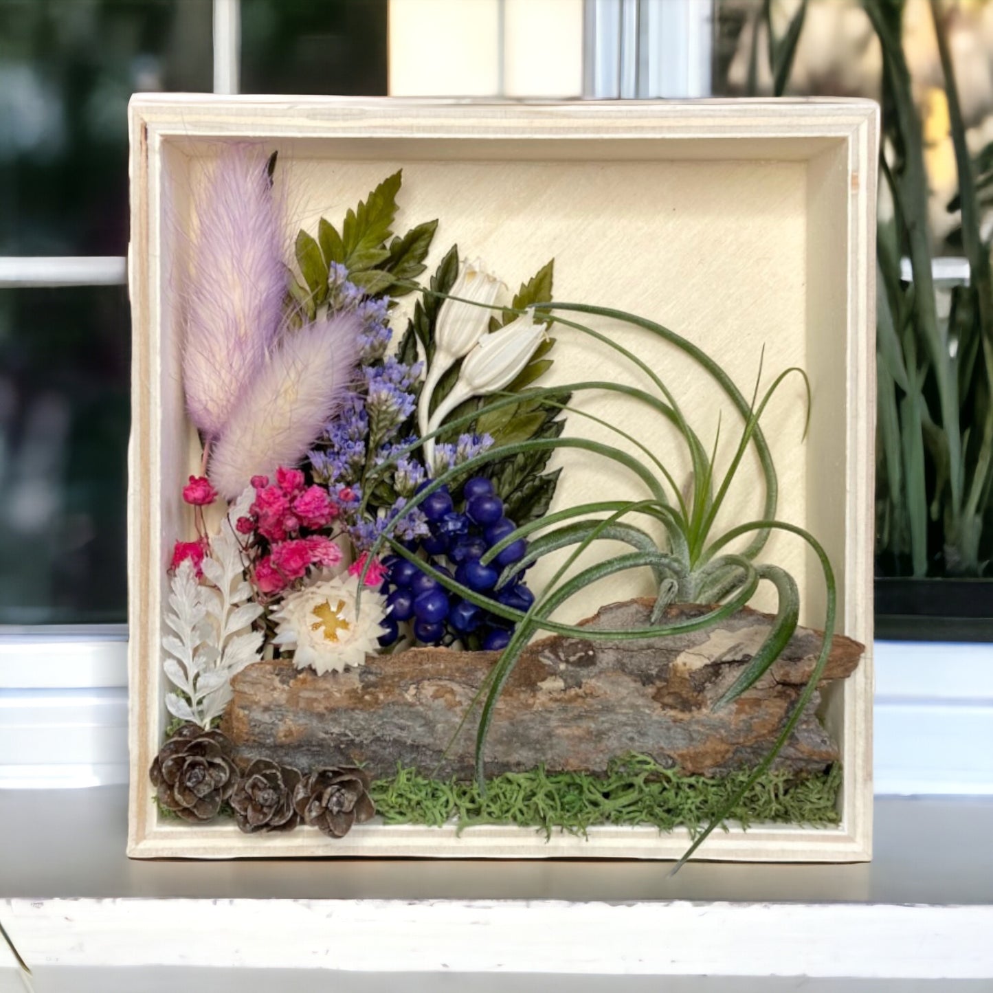 Airplant Art Frames - Square Natural Purple Flowers