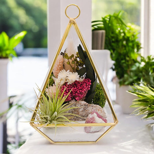 Terrarium Victorien Petit avec une plante aérienne - rose