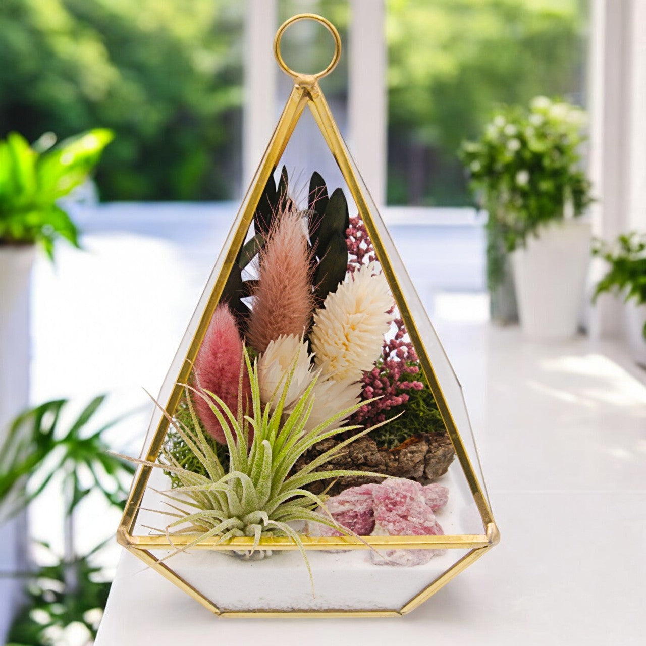 Terrarium Victorien Petit avec une plante aérienne - rose