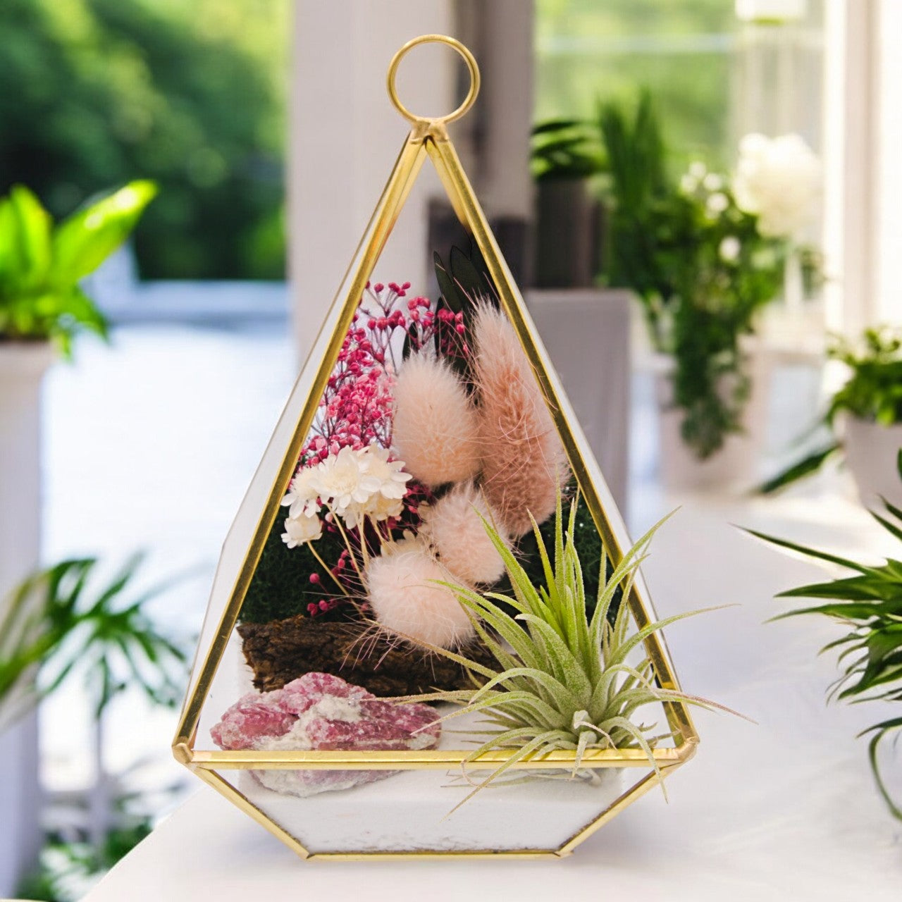 Terrarium Victorien Petit avec une plante aérienne - rose