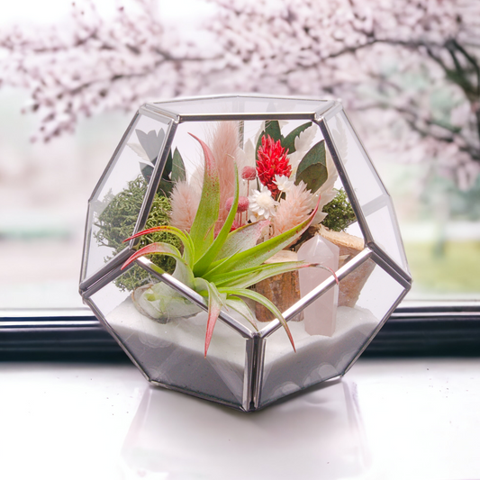 Silver Victorian bowl airplant terrarium with sand, dried flowers, wood, moss and a rose quartz crystal point