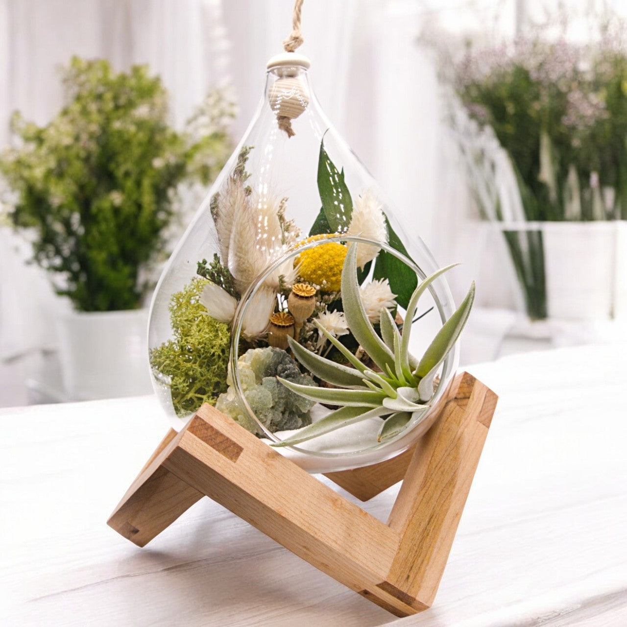 Teardrop airplant terrarium with epidote crystal, dried flowers, moss and wood