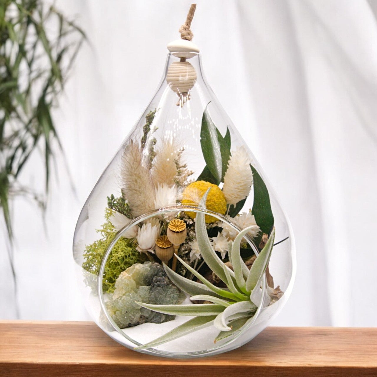 Teardrop airplant terrarium with epidote crystal, dried flowers, moss and wood