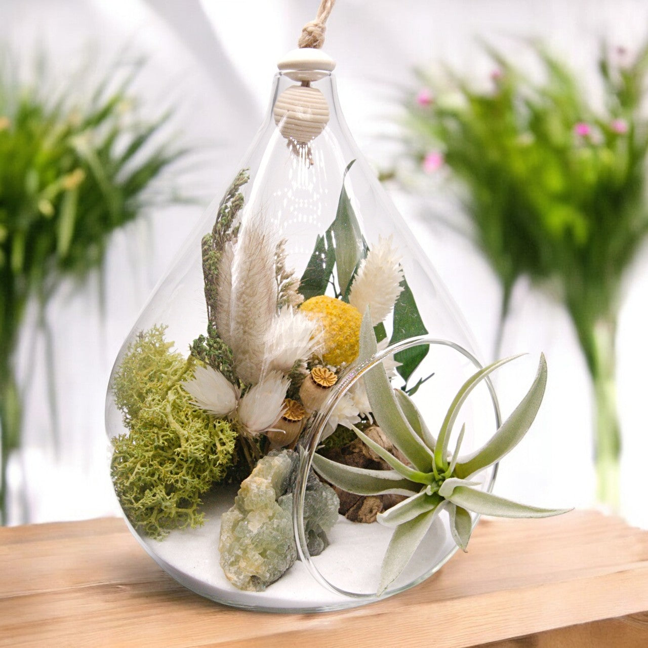 Teardrop airplant terrarium with epidote crystal, dried flowers, moss and wood