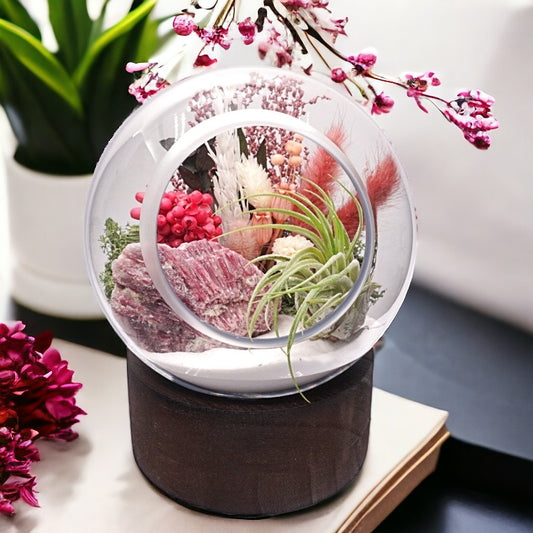 Bubble Airplant Terrarium Large with base - Pink Tourmaline