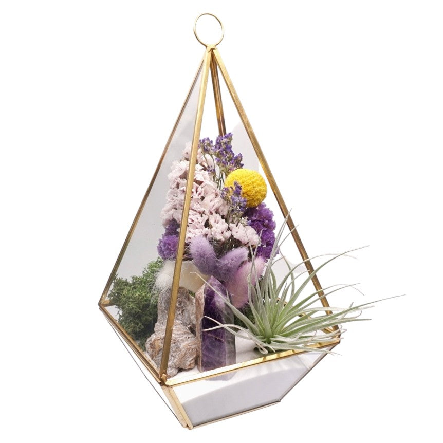 Hotsell Tower Terrarium