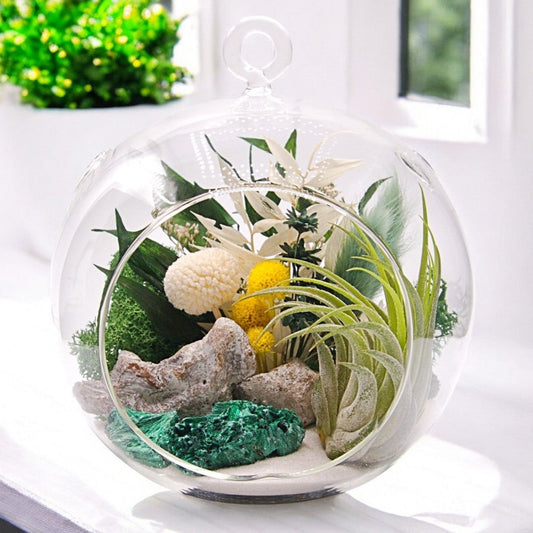 Terrarium à bulle avec une plante aérienne et un cristal de malachite