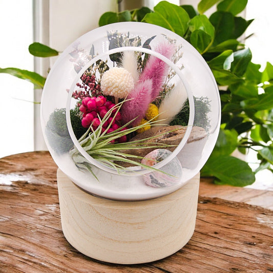 Terrarium à bulle moyen pour plante aérienne avec base en bois et une pierre de rhodonite.