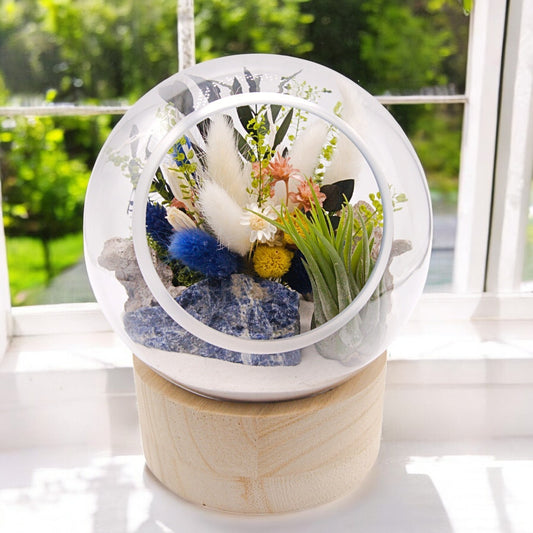 Bubble Airplant Terrarium Large with base - Raw Sodalite crystal