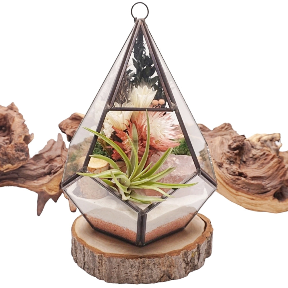 Grand terrarium victorien avec une plante aérienne et un cristal de rose quartz