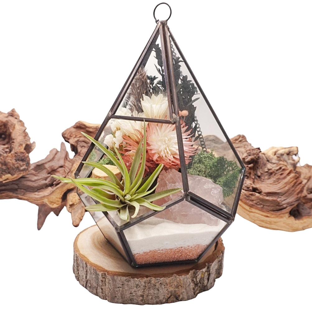 Grand terrarium victorien avec une plante aérienne et un cristal de rose quartz