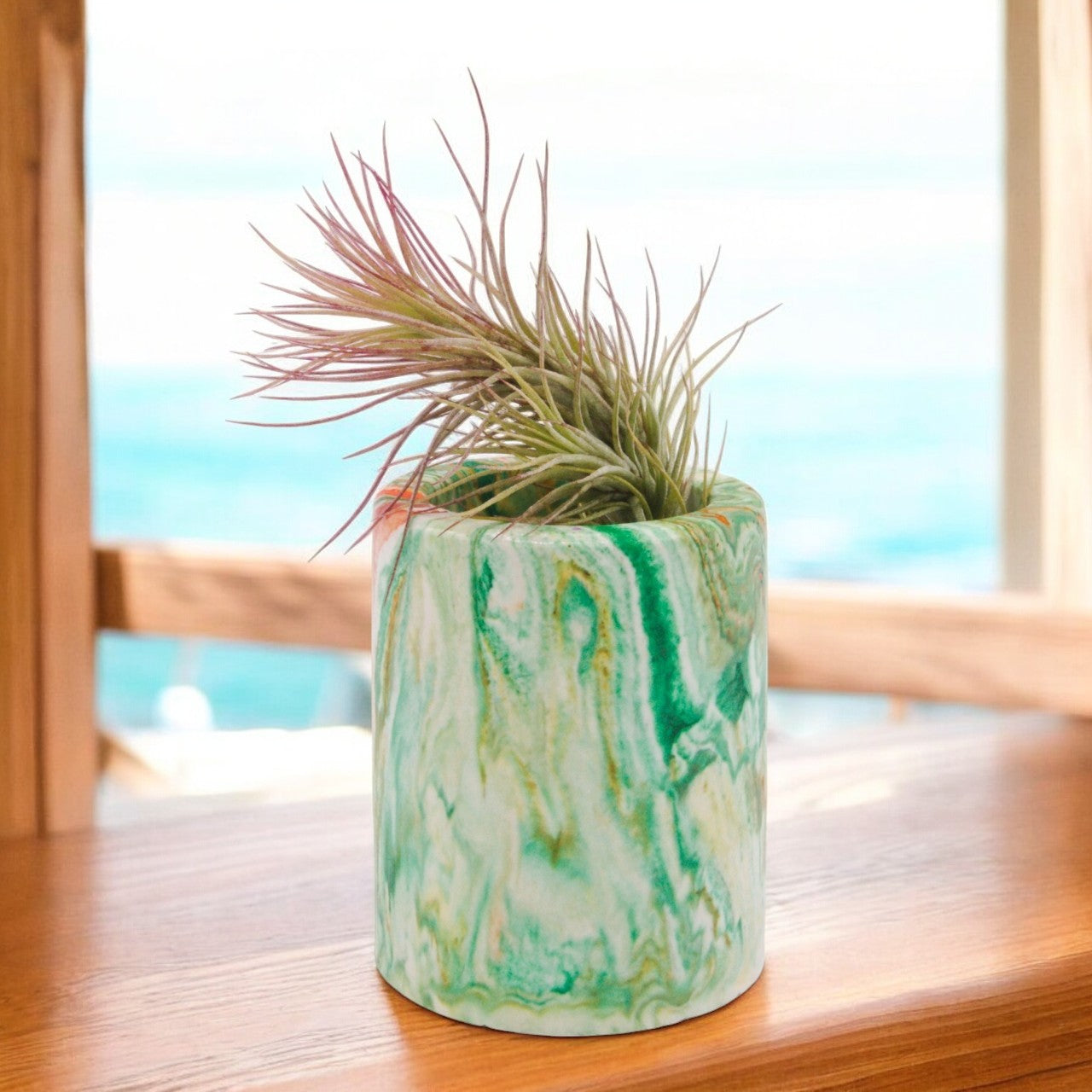 Tillandsia Funckiana