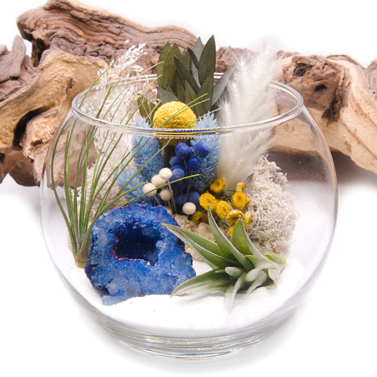 Tillandsia Terrarium - Blue Geode