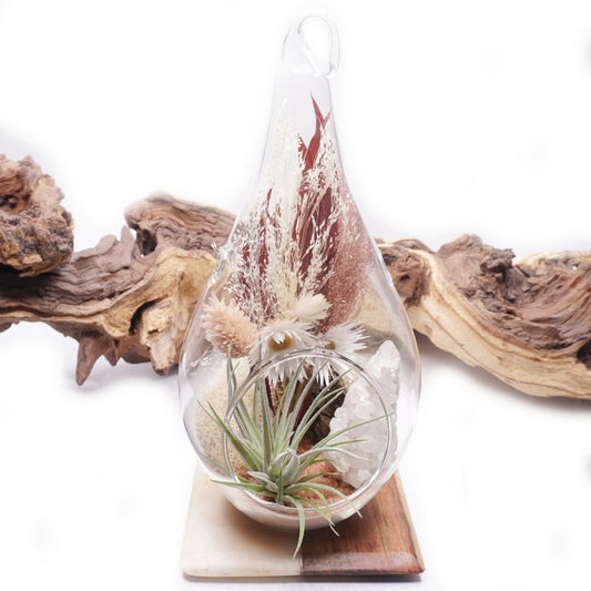 Teardrop Terrarium - Crystal Quartz